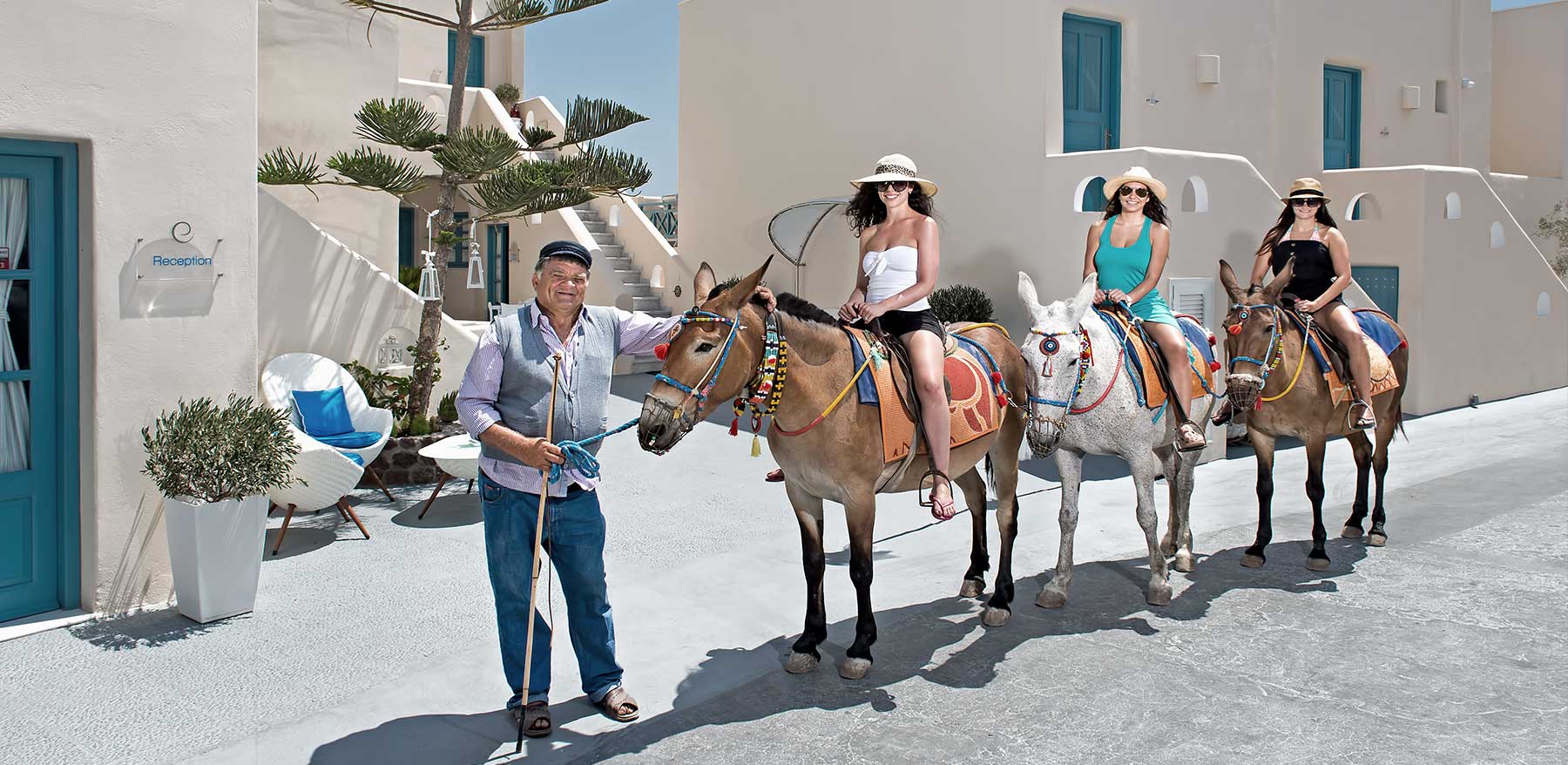 about us calm collection