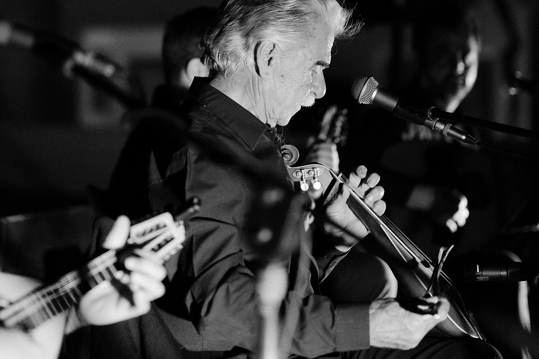 calm collection katsaboo culture 4